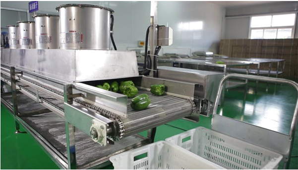 中央手机看片网址工程图片